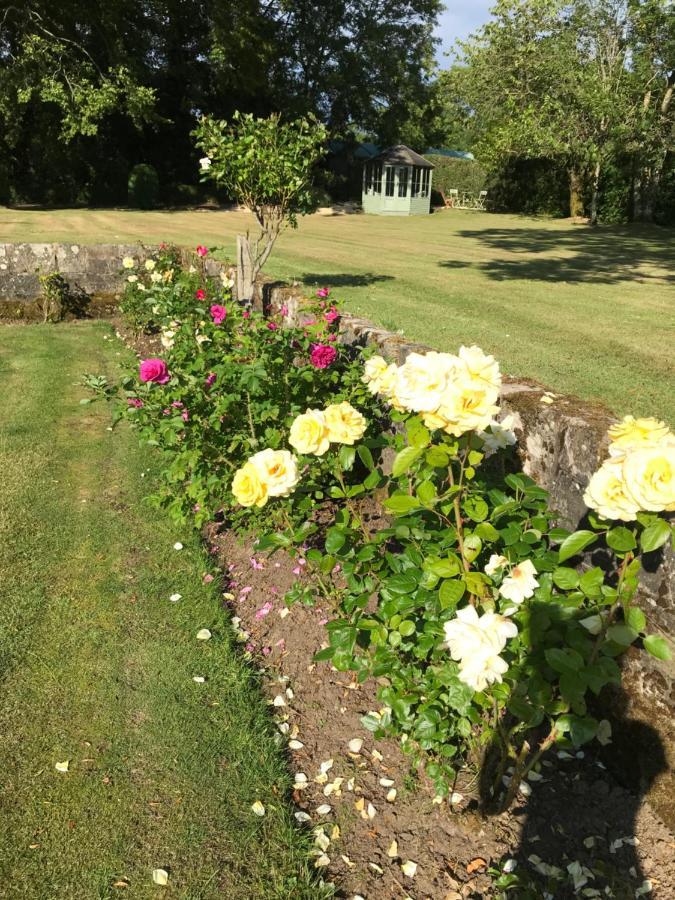 Eaglesham South Craighall B&B מראה חיצוני תמונה