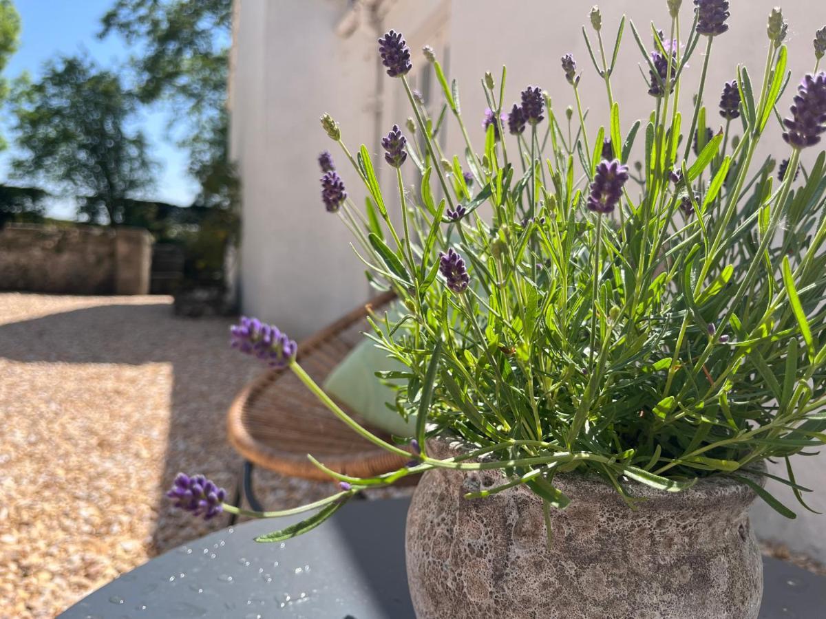 Eaglesham South Craighall B&B מראה חיצוני תמונה